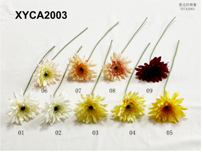 XYCA2003