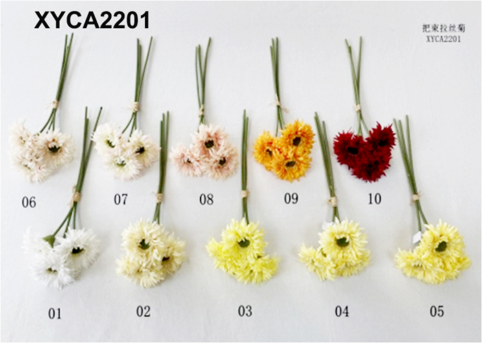 XYCA2201