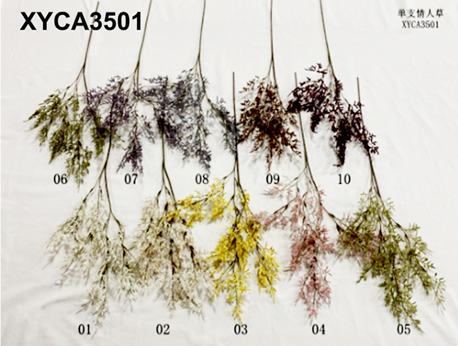 XYCA3501