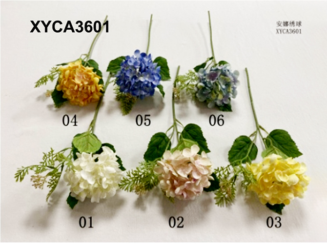 XYCA3601